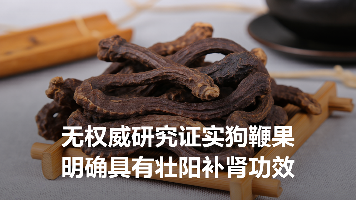 狗鞭果能壮阳补肾吗 | 百度健康·医学科普