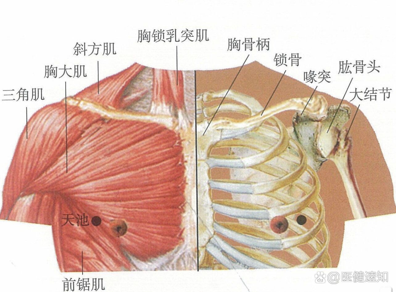 女性天池的准确位置图图片