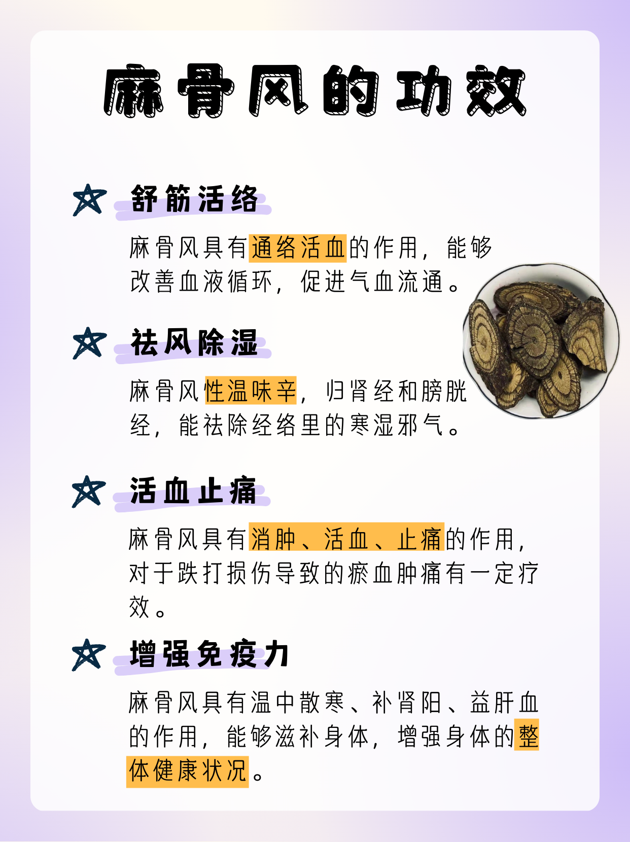科普:麻骨风的神奇功效