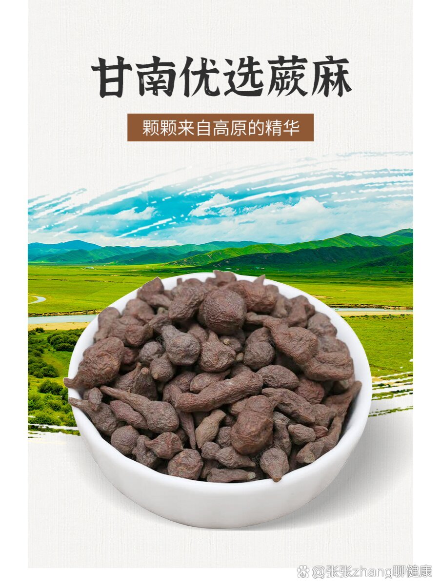 每天了解一个甘南特产——蕨麻