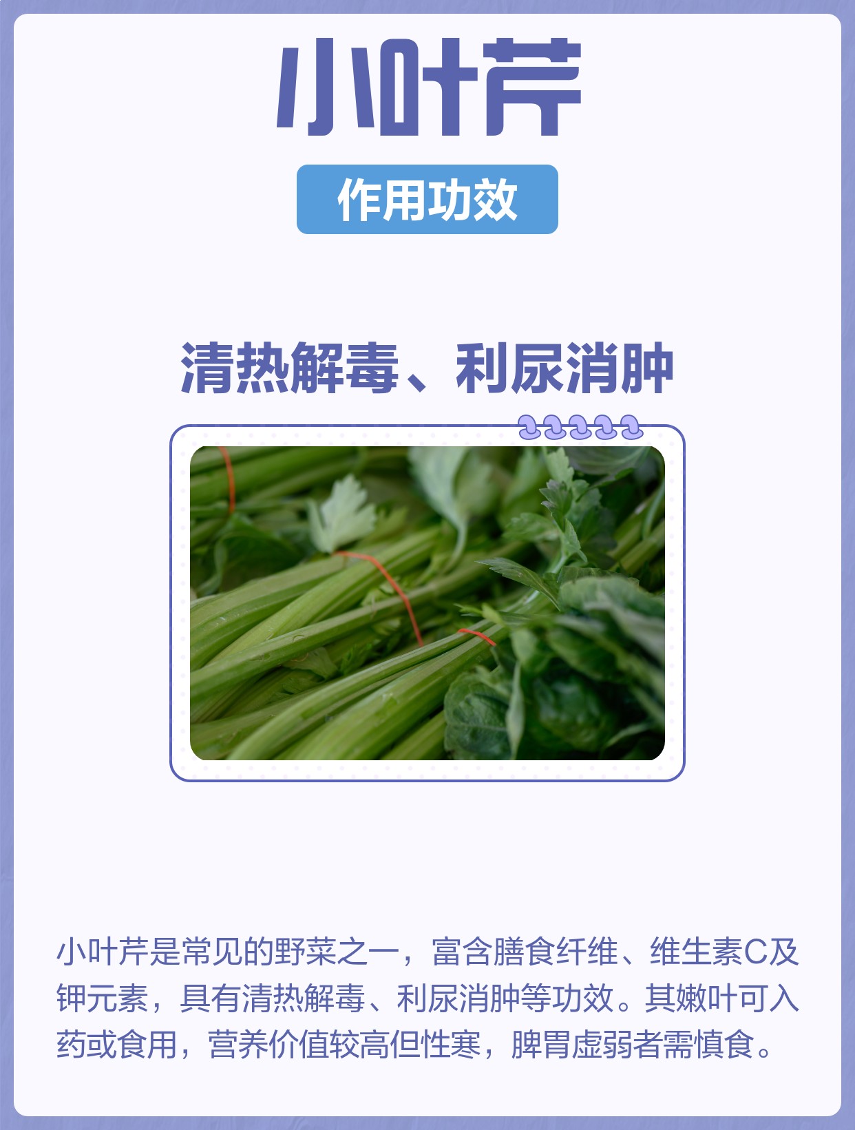 小叶芹的功效与作用及禁忌 | 百度健康·医学科普