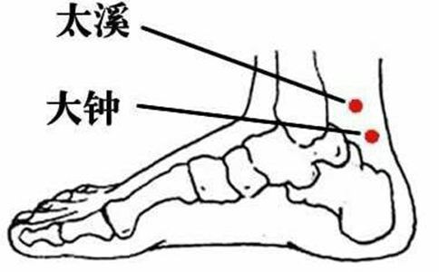 大钟的准确位置与功效图片