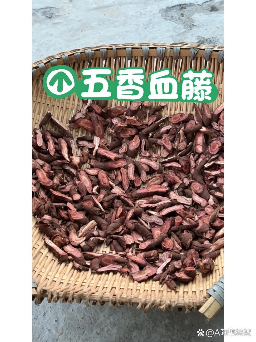 五香血藤