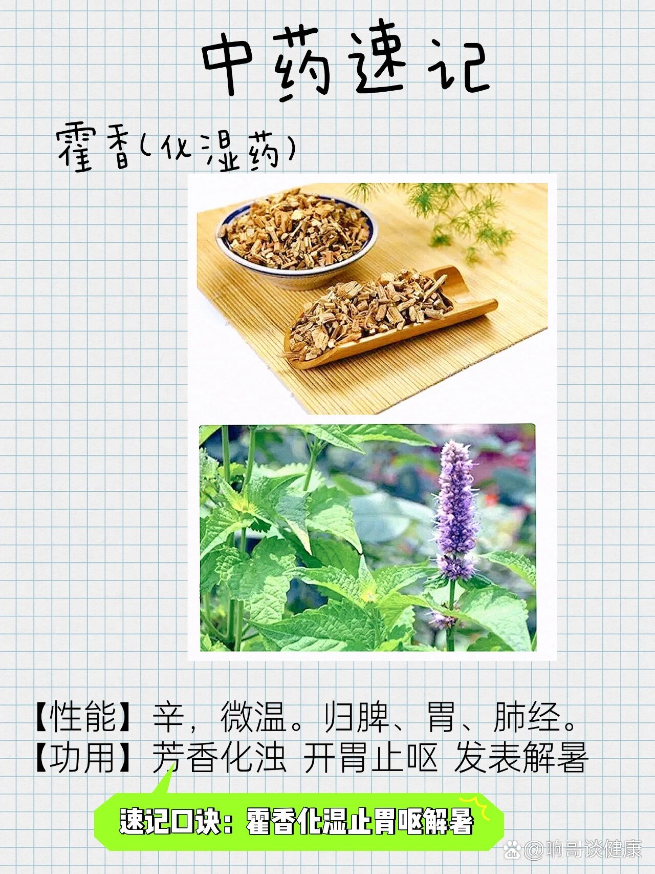 霍香草药的功效与作用图片