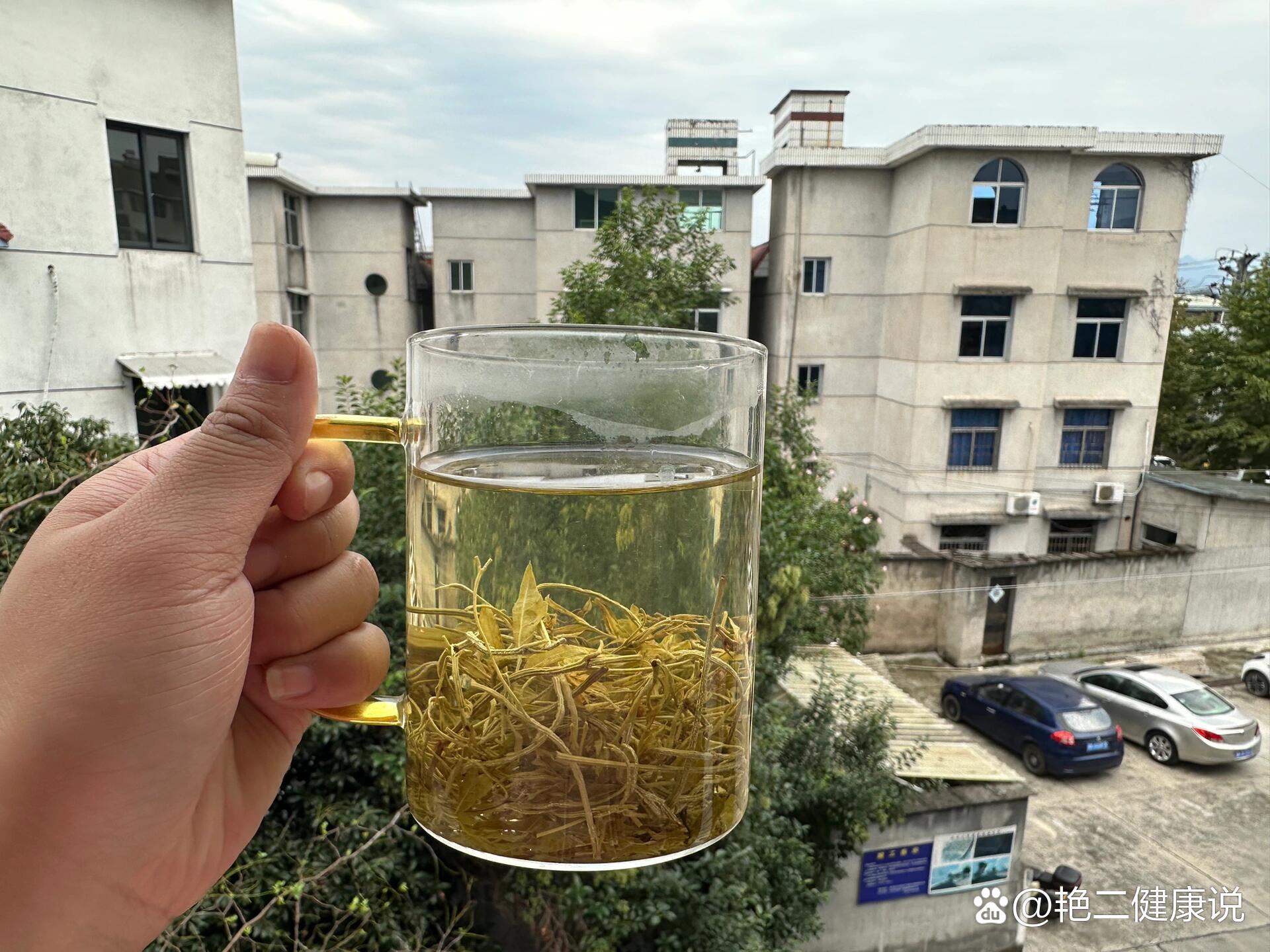 莓茶又称显齿蛇葡萄,是藤茶的一种,具有清热解毒,杀菌消炎,提高免疫力