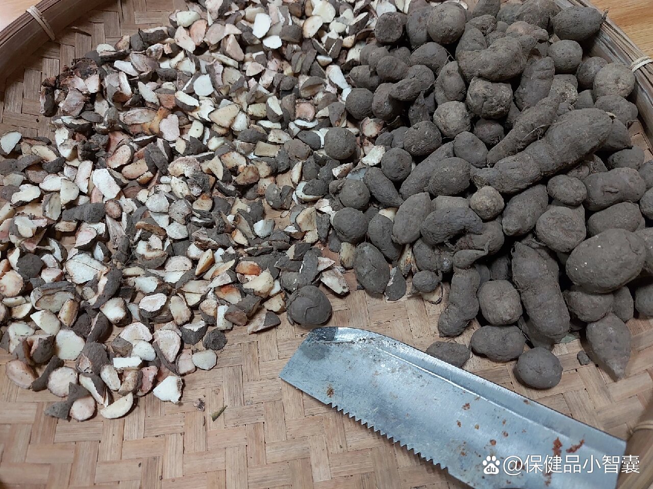 广西本土特色中草药(3)金线吊葫芦