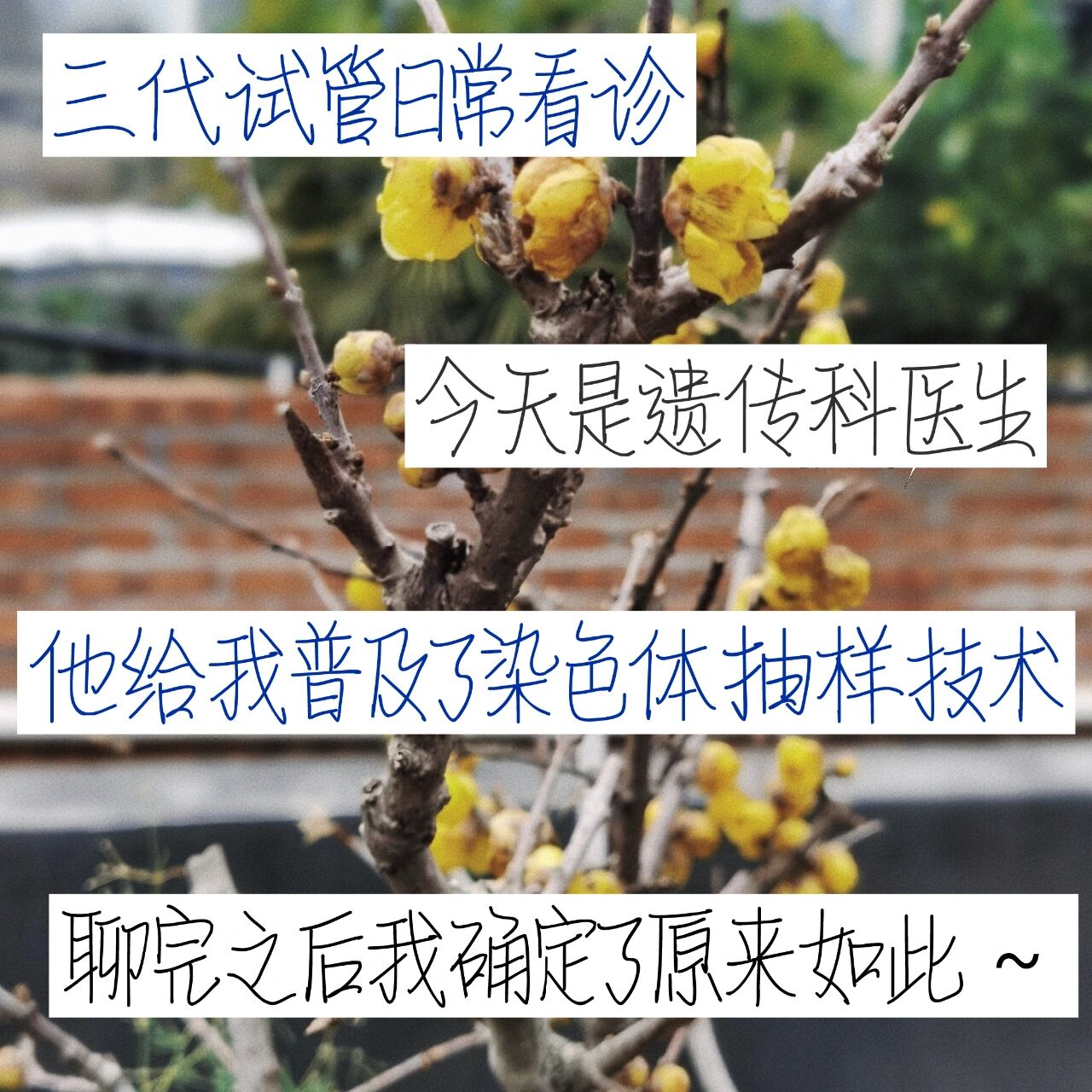 北京大学第三医院全程代诊含挂号-合规加急协调的简单介绍