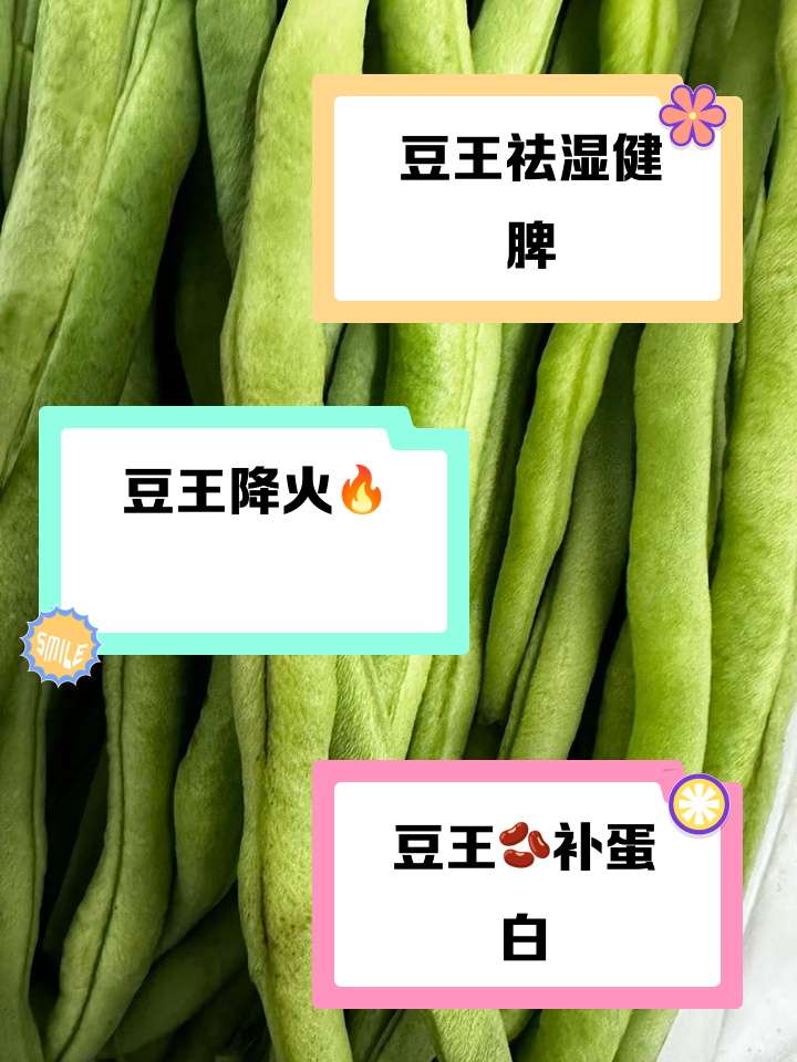 豆王的功效和作用