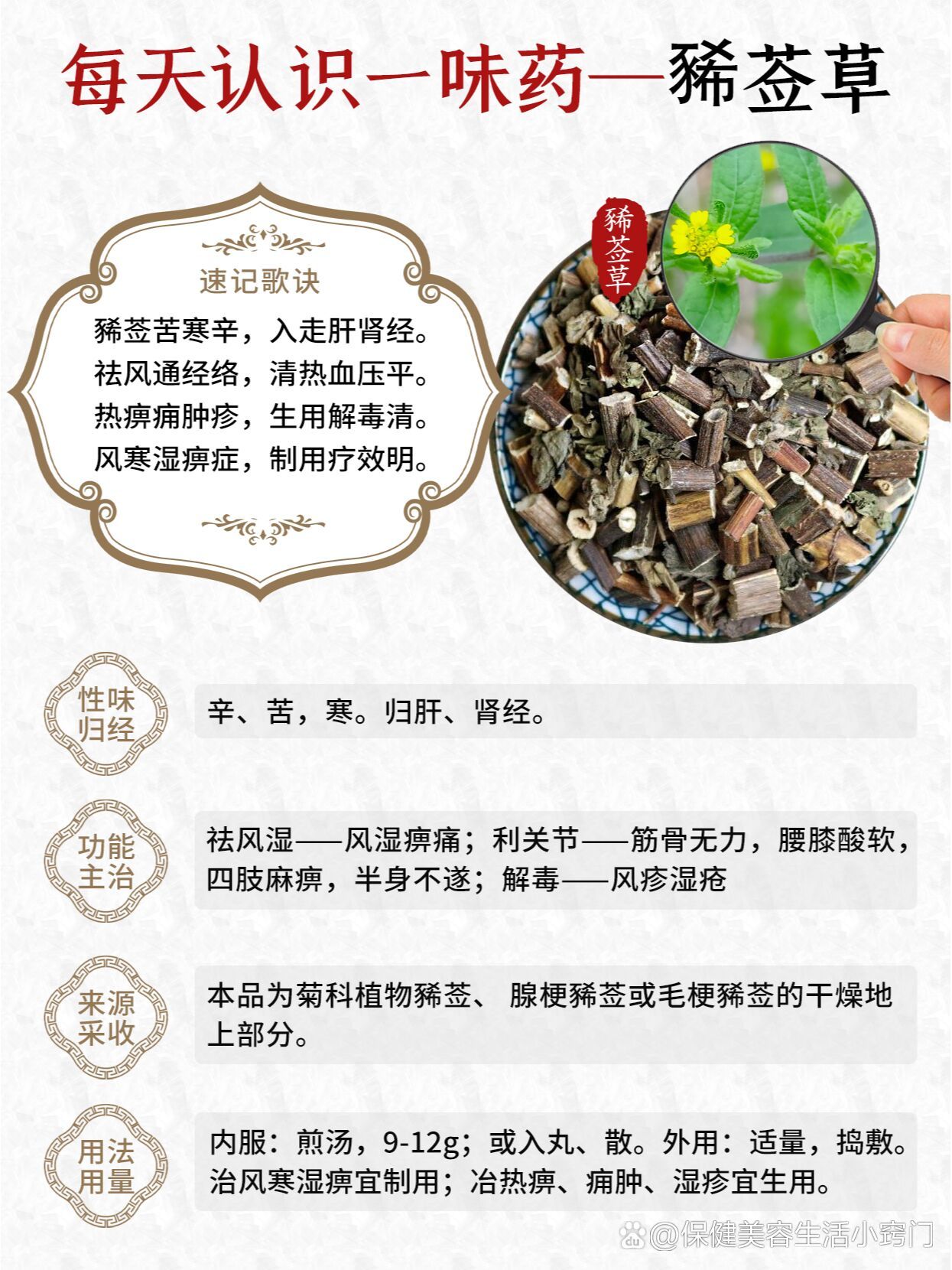 每天认识一味药~豨莶草