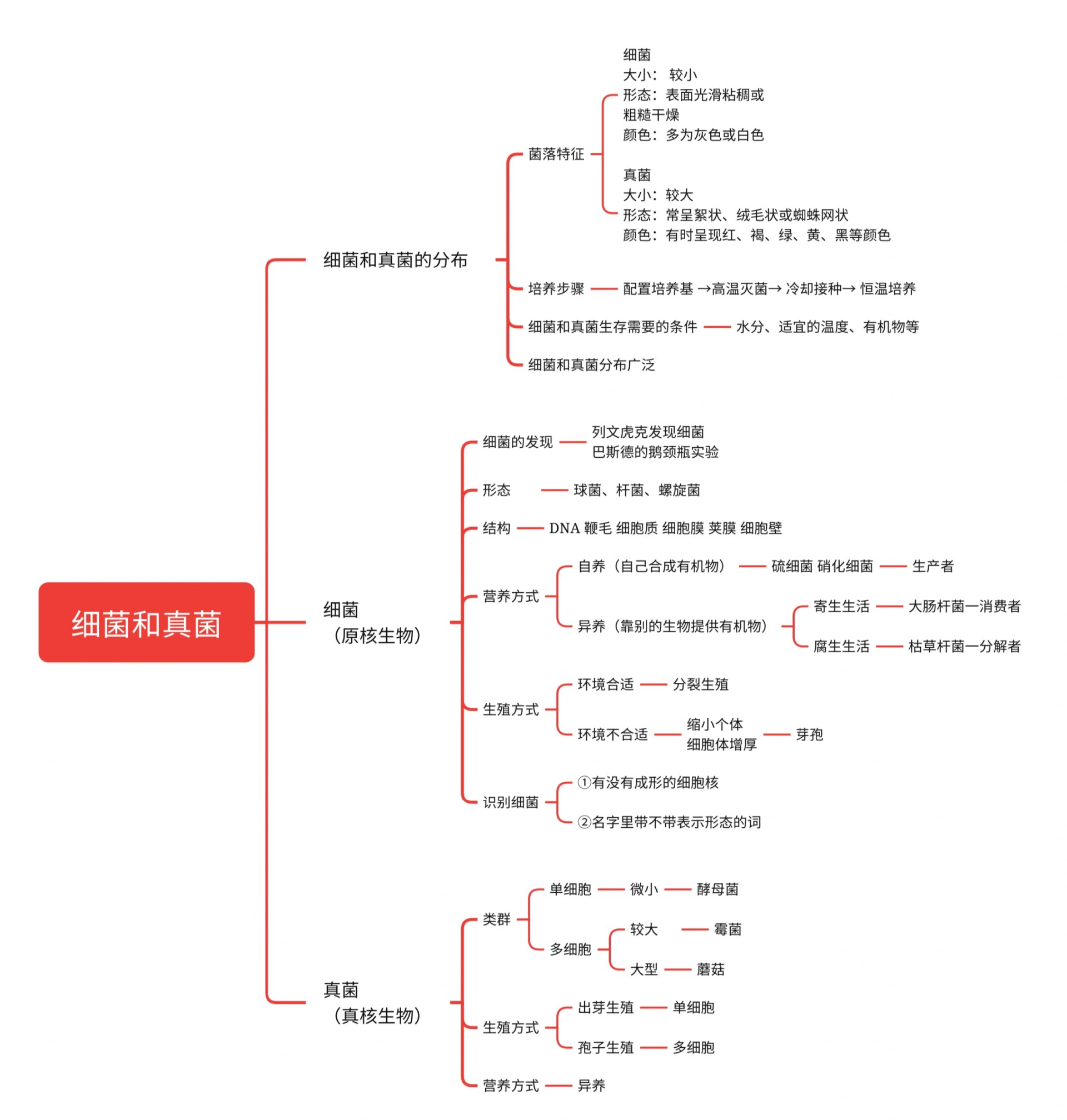 p 八上生物 第四章第一