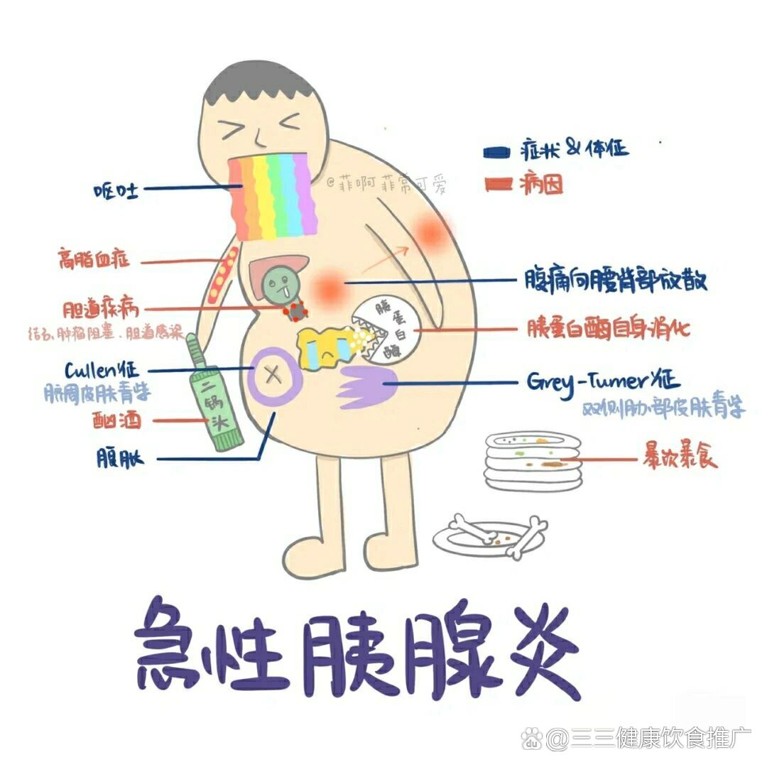 胃和胰腺不舒服的区别图片