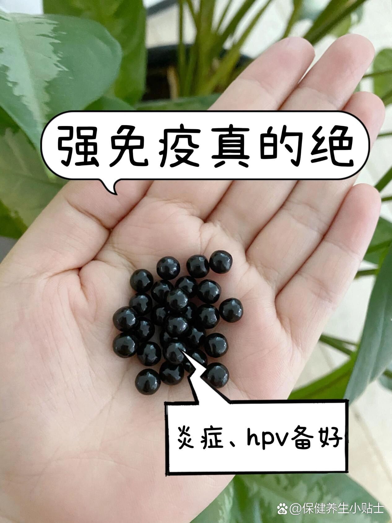 常备 br>& br>【王牌76】——当归丸 br>对症:血瘀,y经不调 br>成分