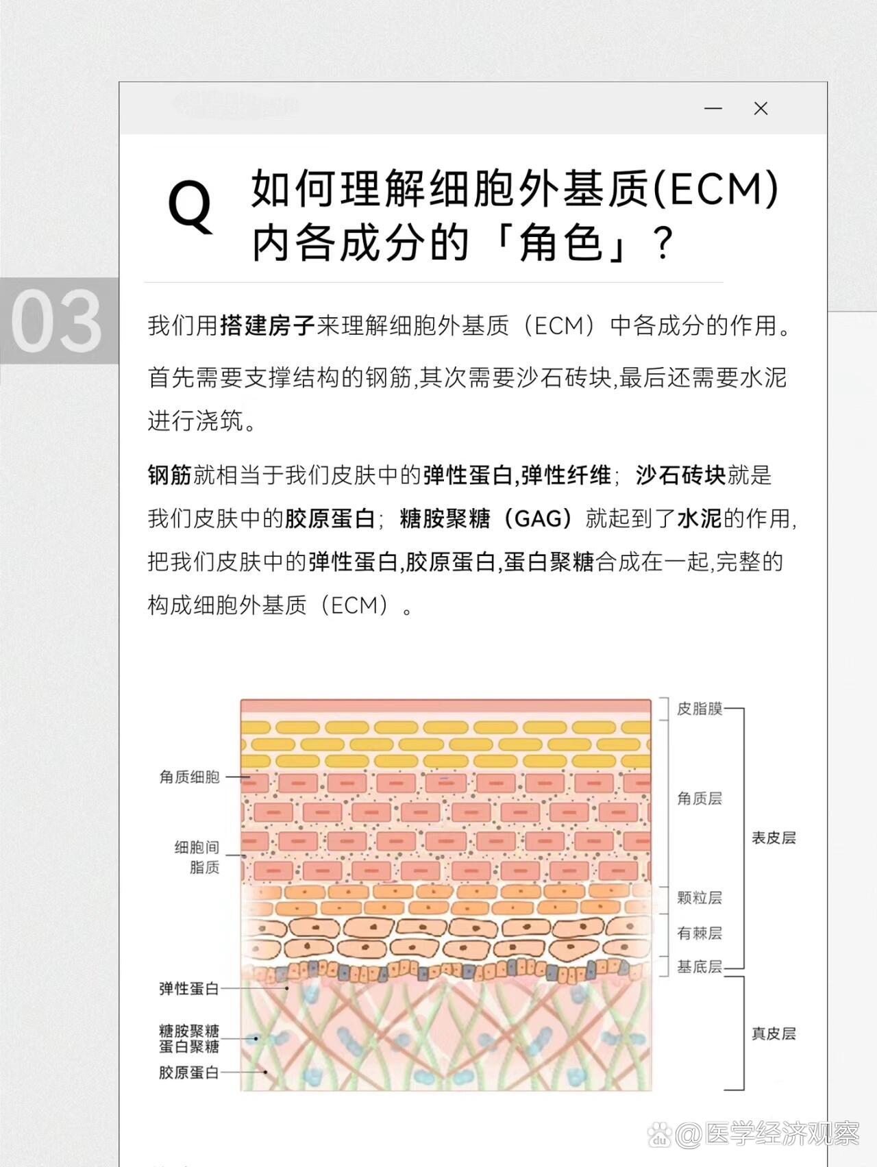 细胞外基质（ECM）的重要使命🆒