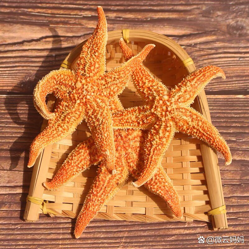 海星作为海产品,它里边的成分有一定的食用价值,包括里边主要含的蛋白