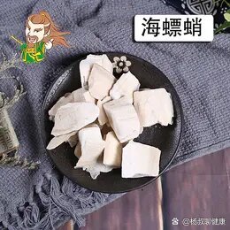 海螵蛸性味归经图片