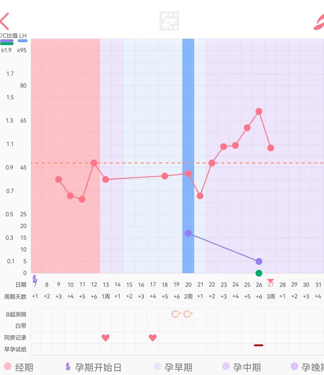 排卵后七天着床情况图图片