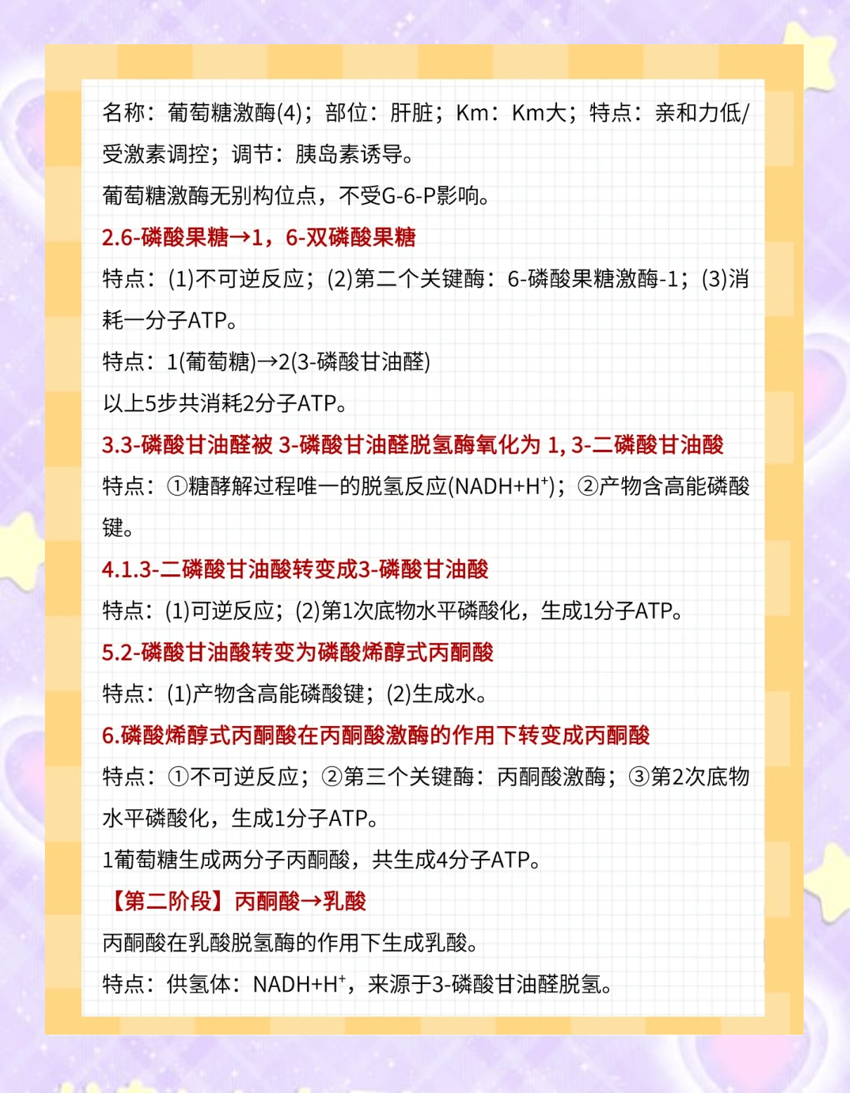 糖代谢全解析：从无氧氧化到糖异生