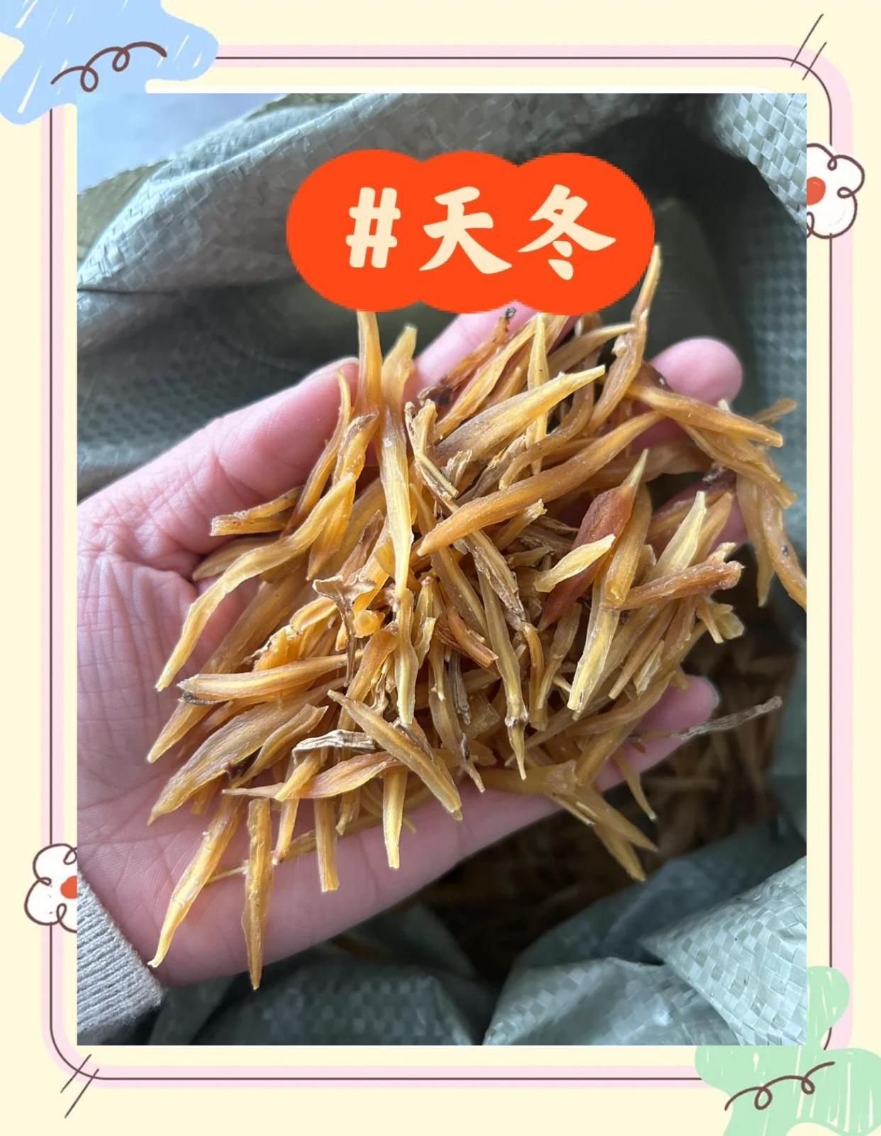 🌿中药材天冬的神奇功效💪