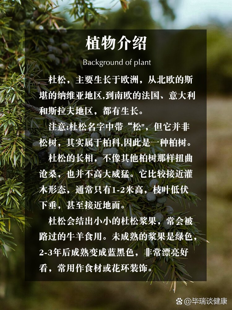 精油科普