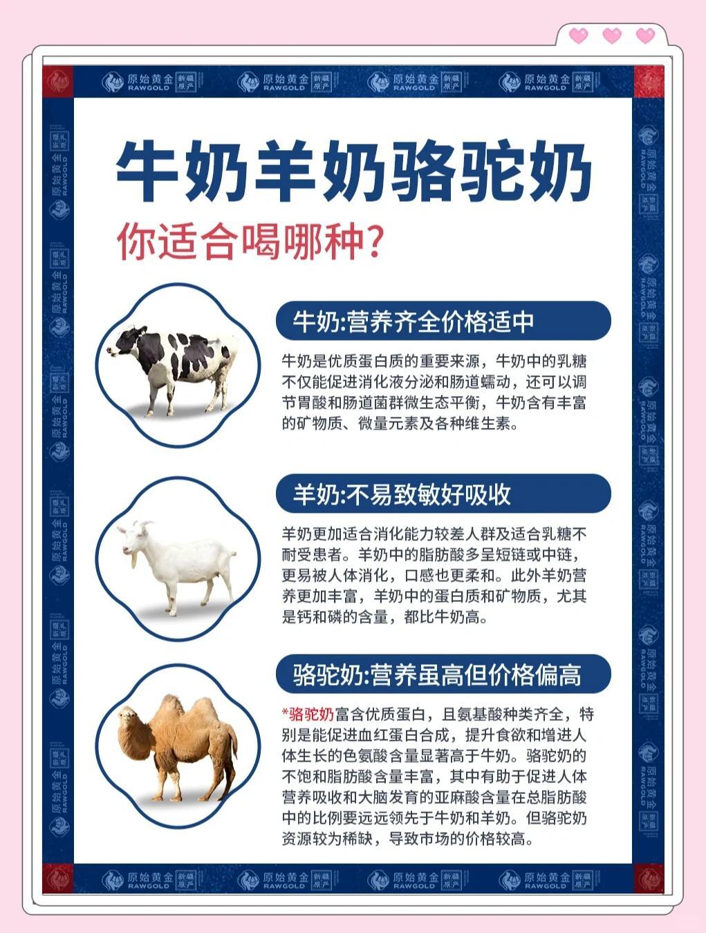 牛奶、羊奶、骆驼奶，哪种最适合你？