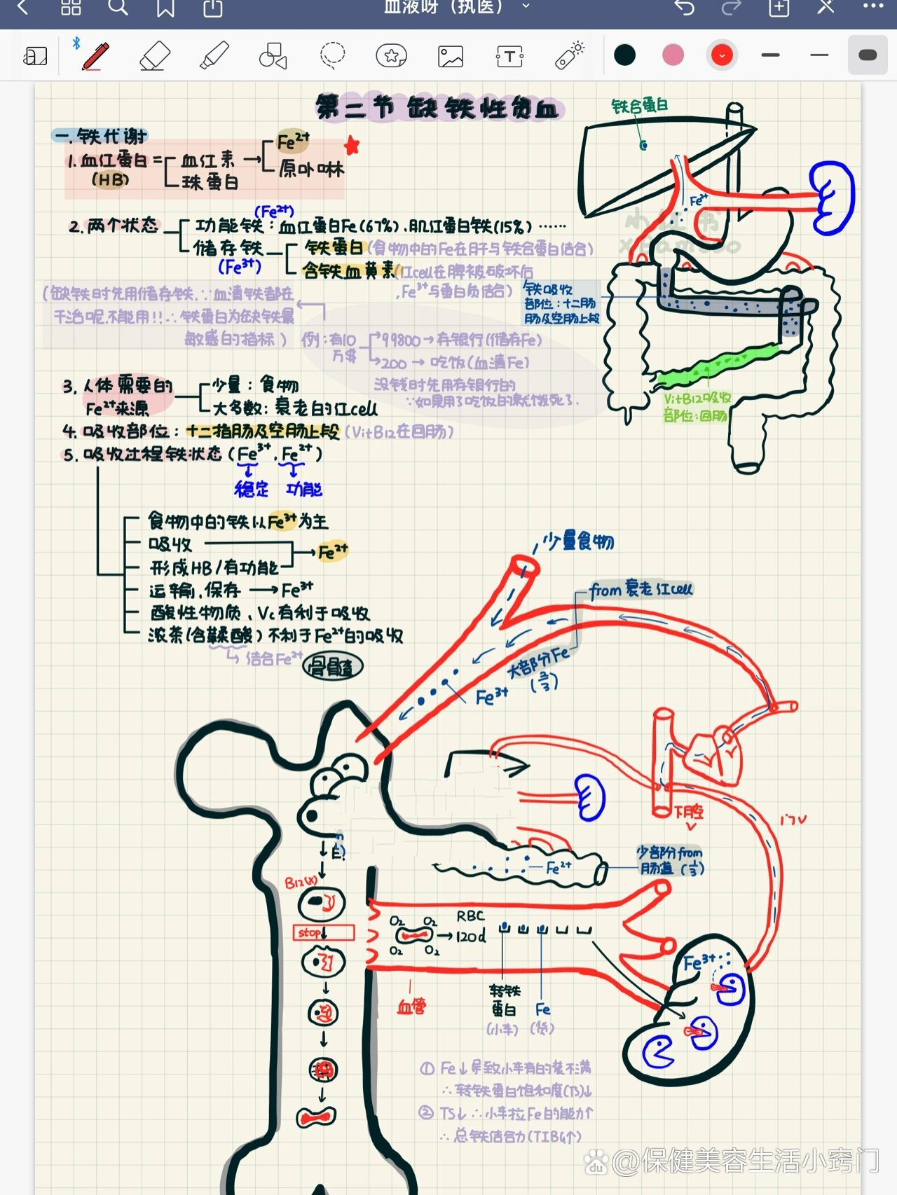 铁卟啉尿图片