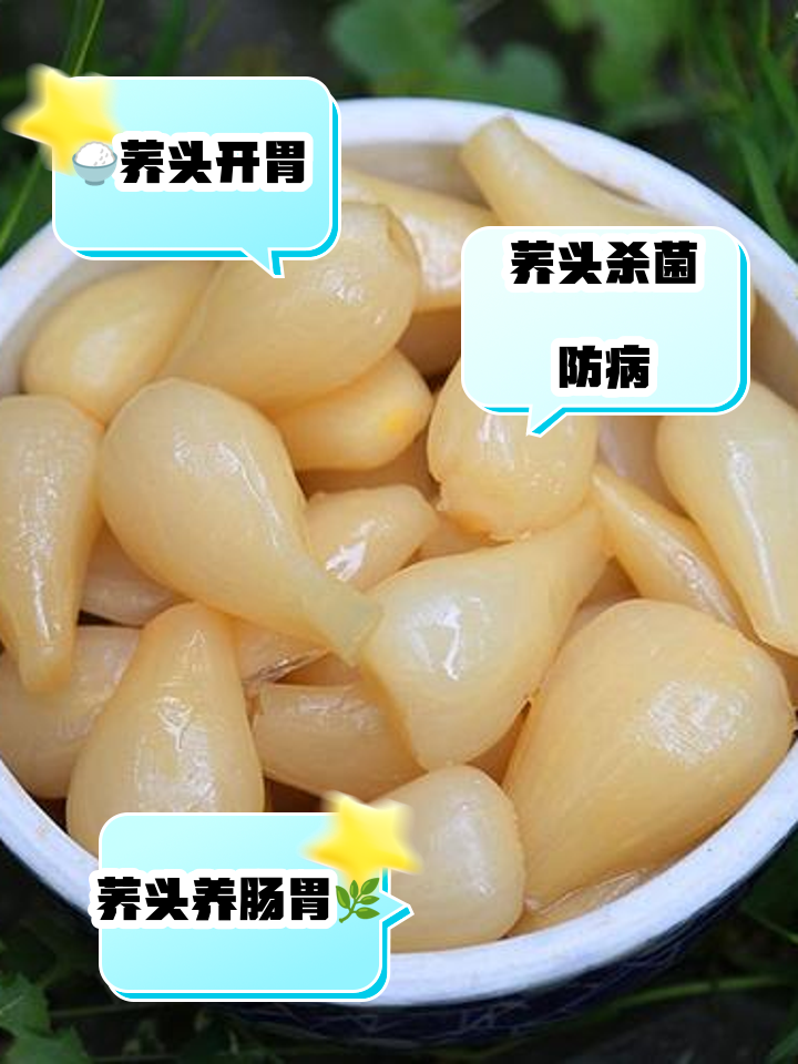 荞头的神奇功效
