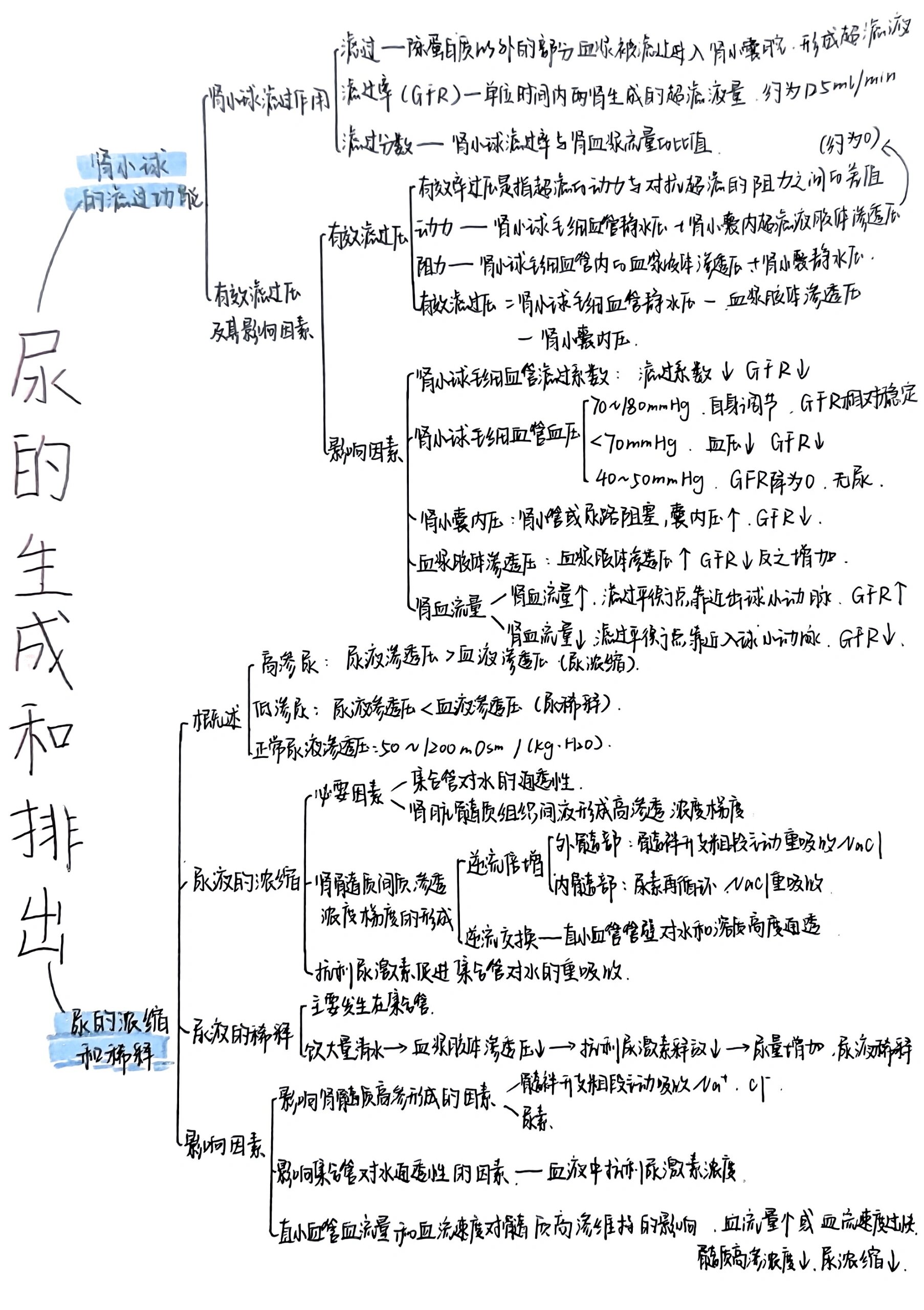 生物的排泄思维导图图片