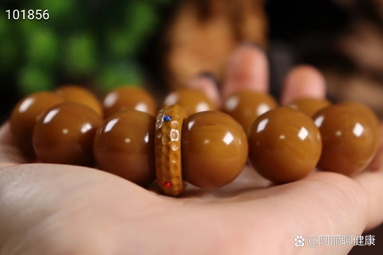 龙涎香"灰琥珀"圆珠手链,搭配阿拉善玛瑙跑环配饰!