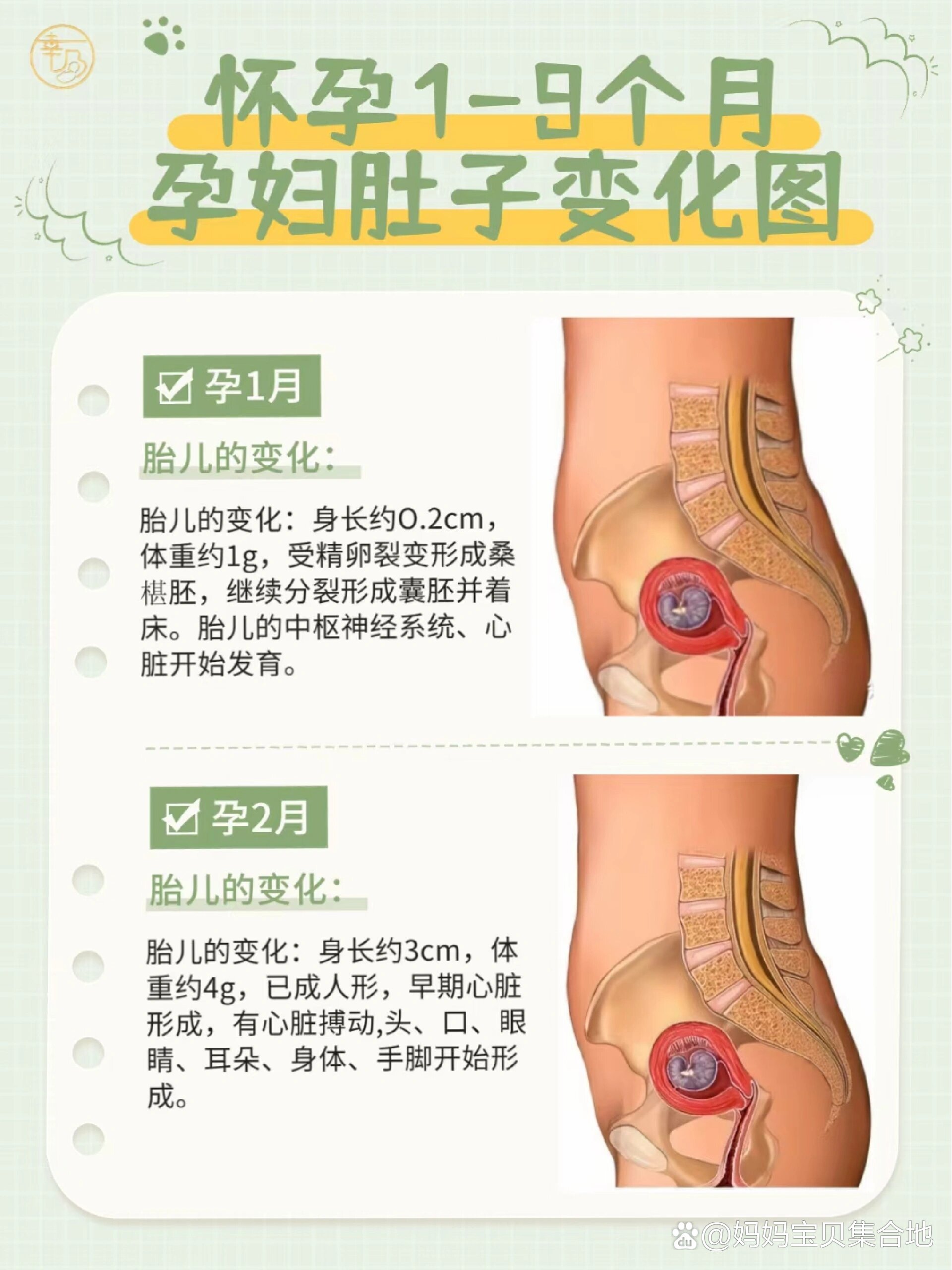 95怀孕1