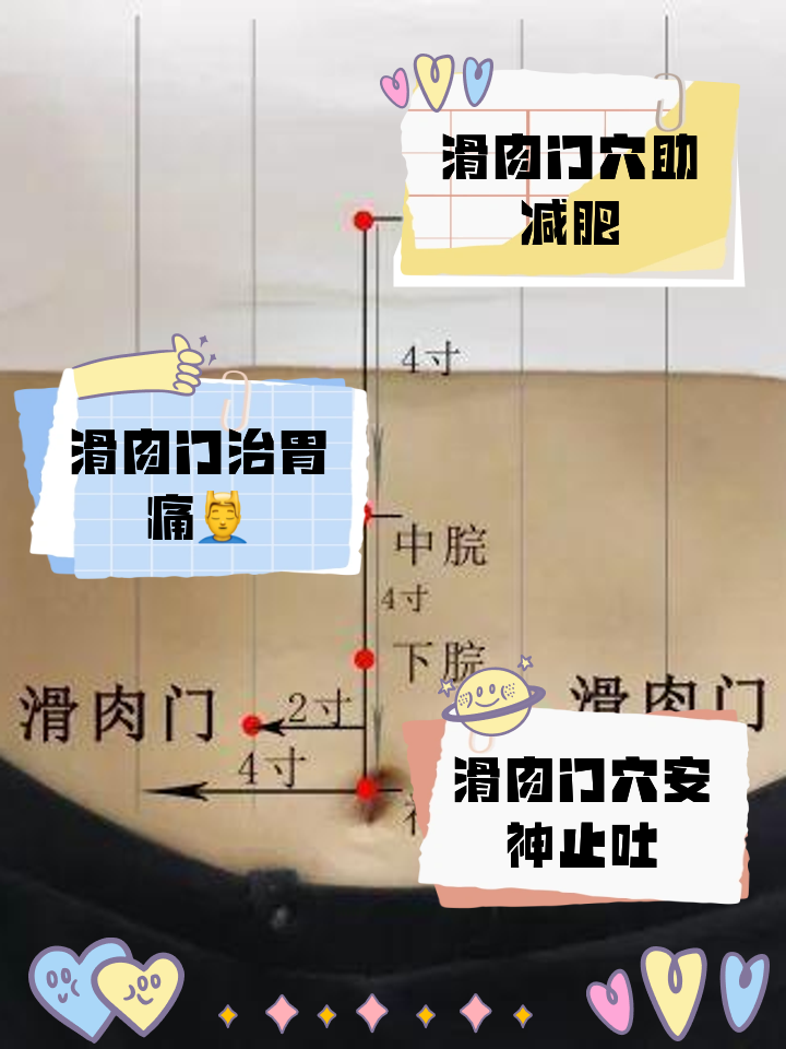 滑肉门的位置与作用和功效