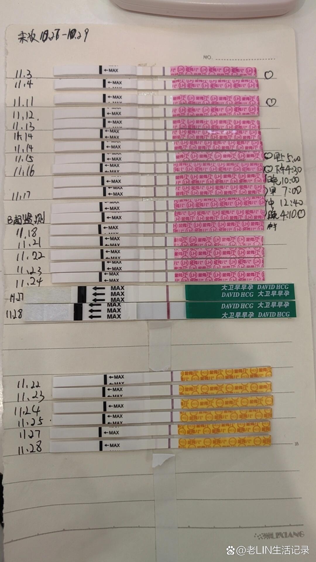 排卵试纸会比早孕更早测出怀孕是真的