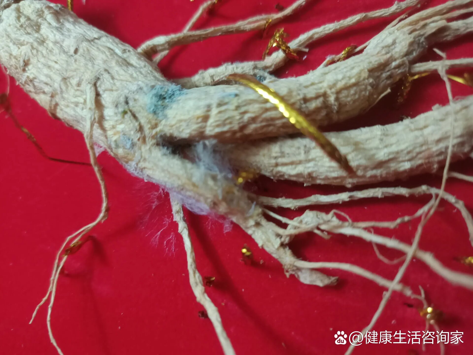 人参发霉了还能吃吗(;д;)