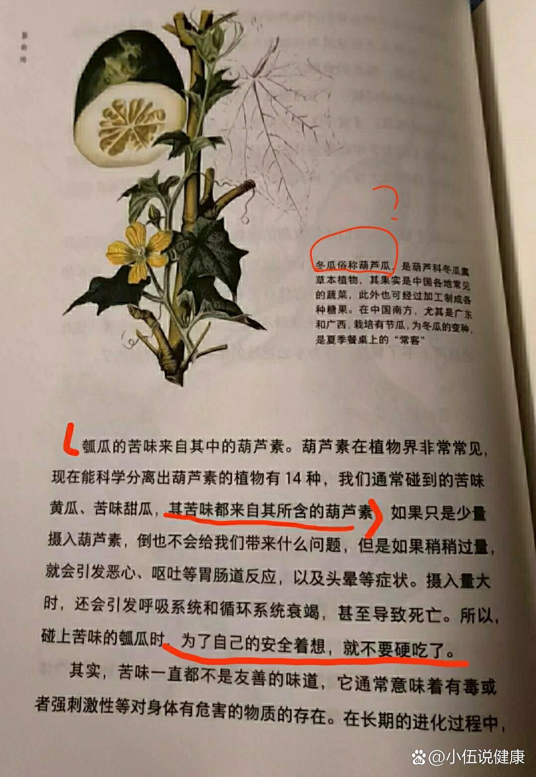 葫芦素中毒图片