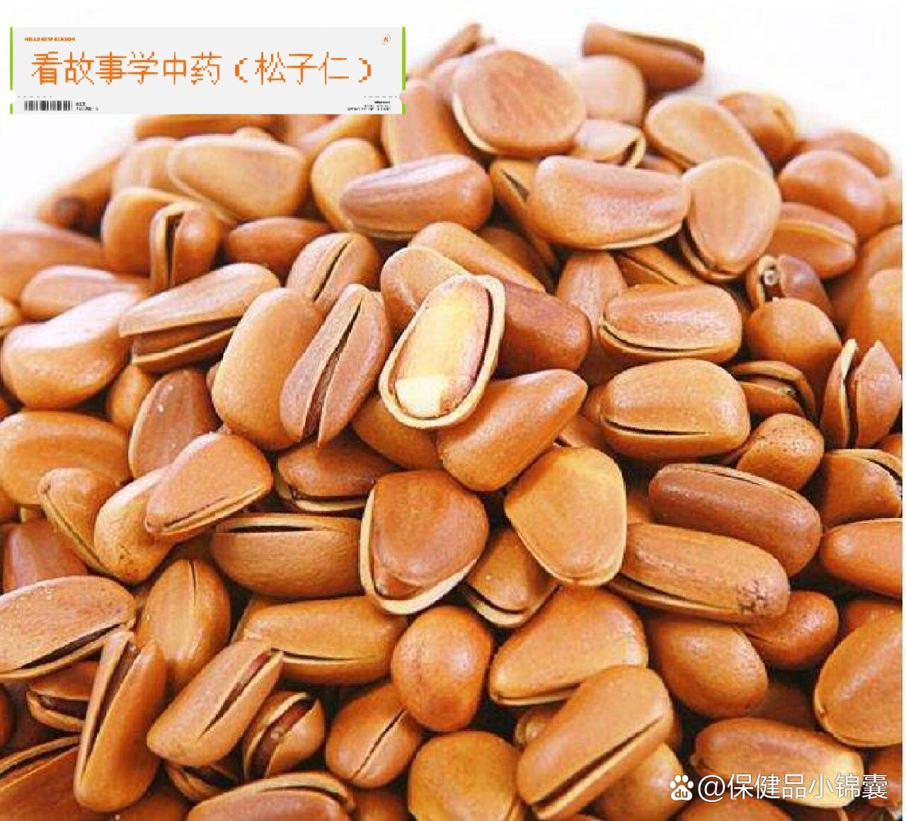 看故事学中药(松子仁)