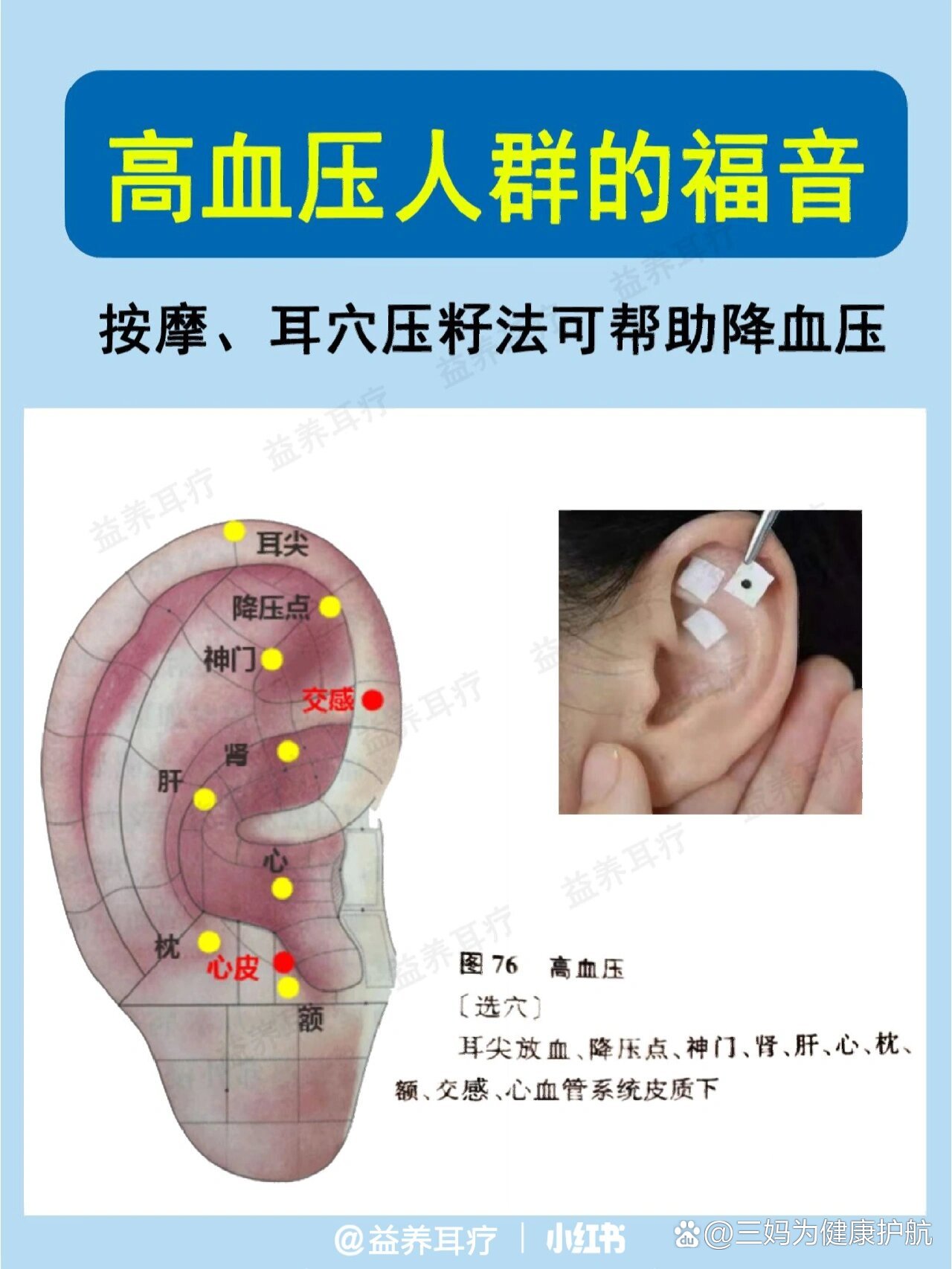 高血压人群的福音!