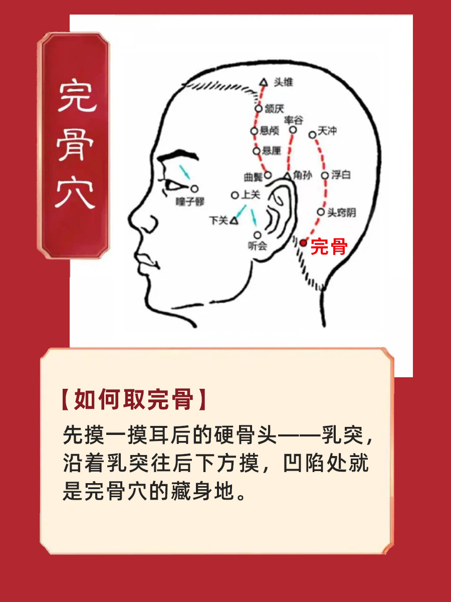 完骨的准确位置图图片