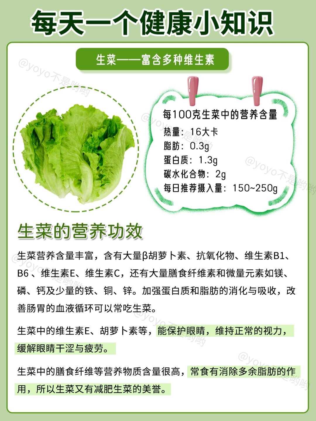 生菜营养成分表图片