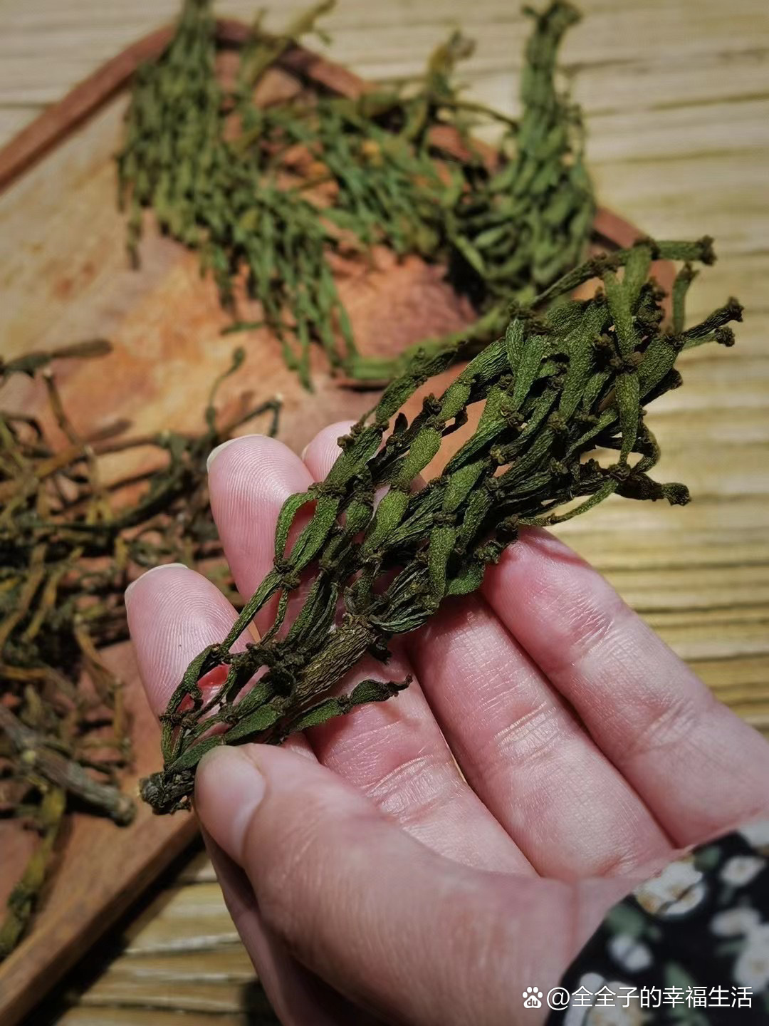 茶树螃蟹脚的功效与作用有以下几种,1,蟹脚其性寒凉,饮后回甘爽甜