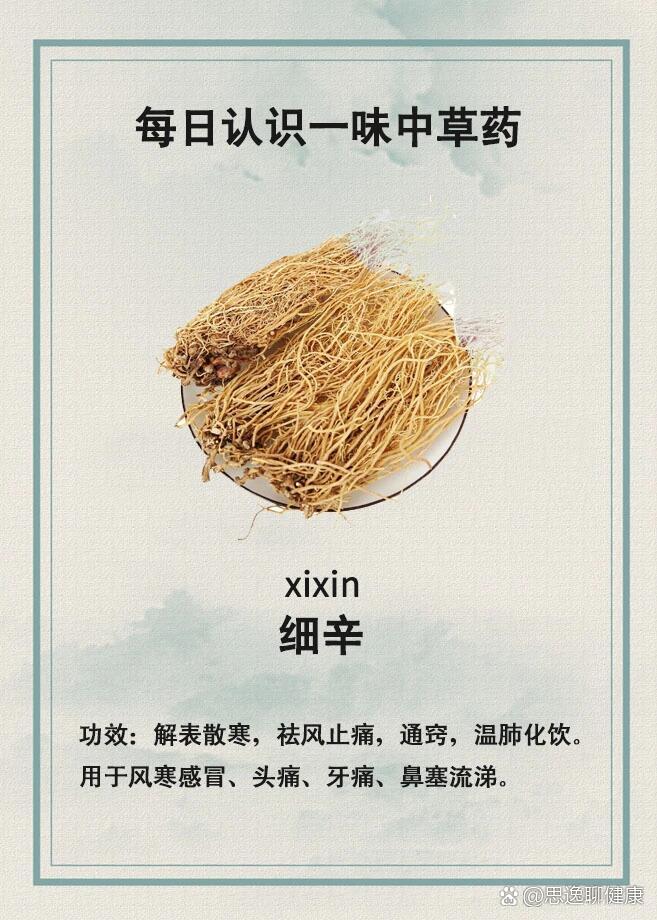 每日认识一味中草药