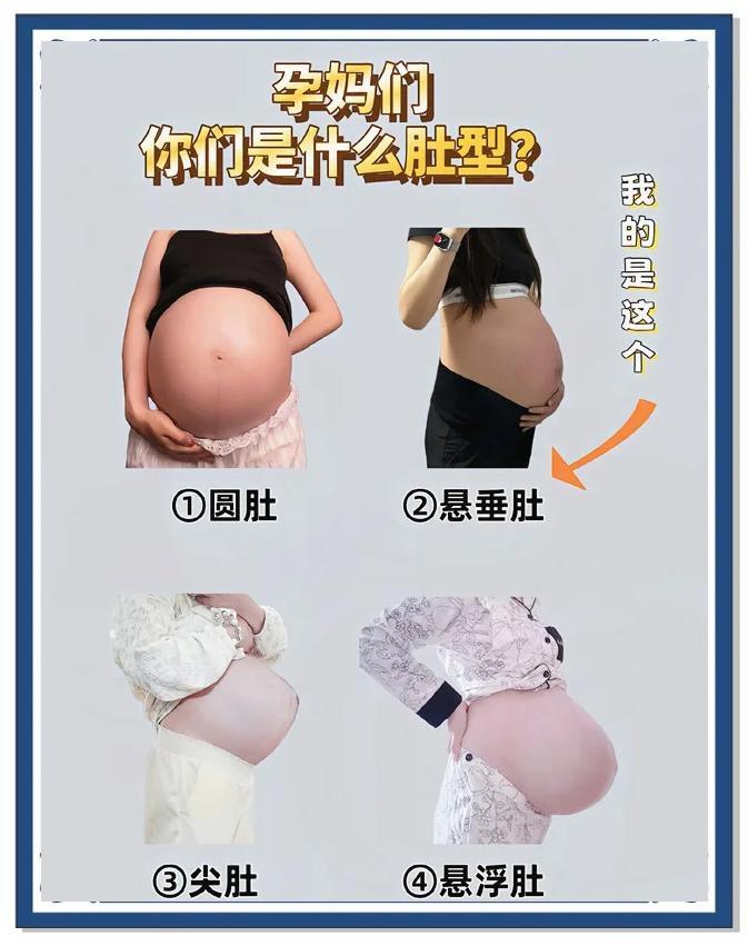 孕妈肚型揭秘，你属于哪种？