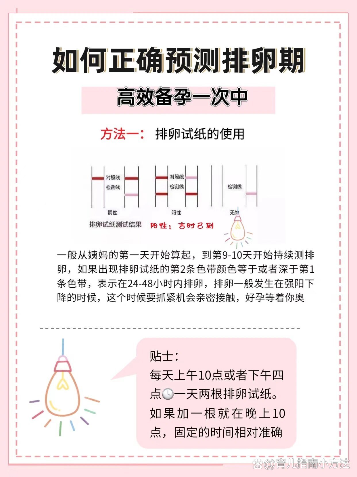 排卵试纸用法图解图片