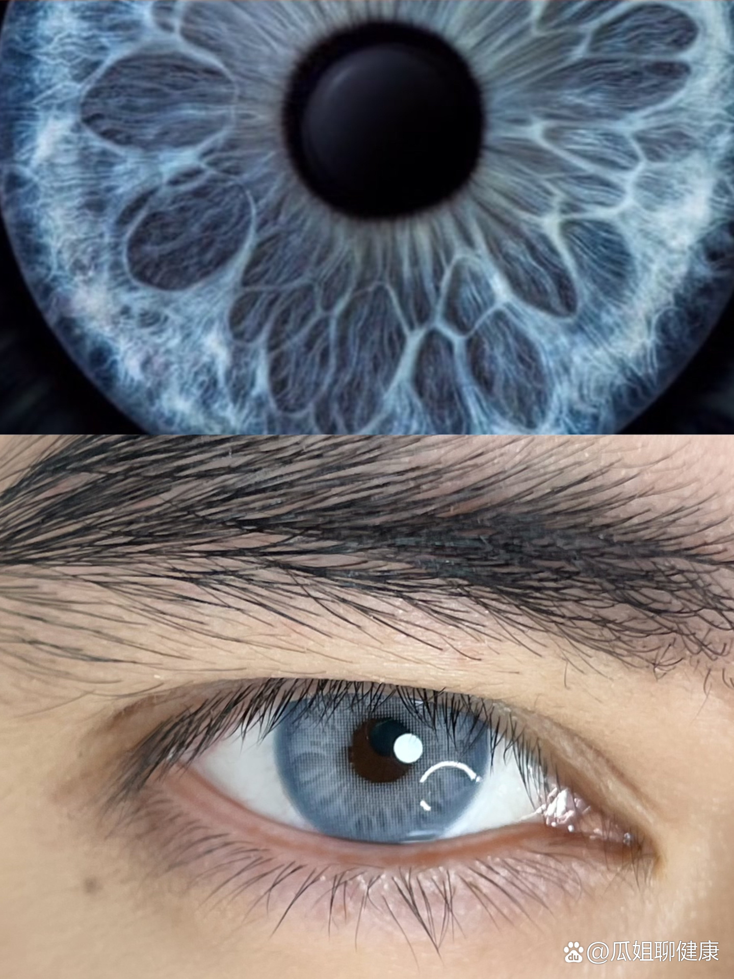 纯正老外蓝灰色瞳孔1:1复刻