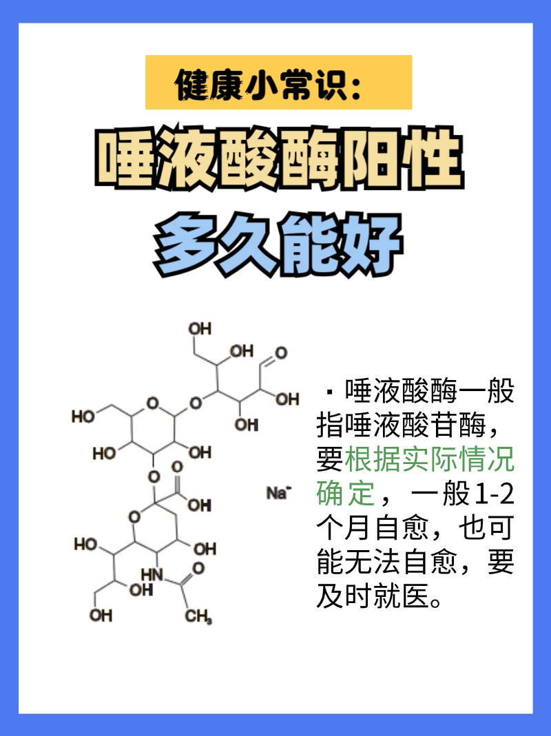 唾液酸酶图片