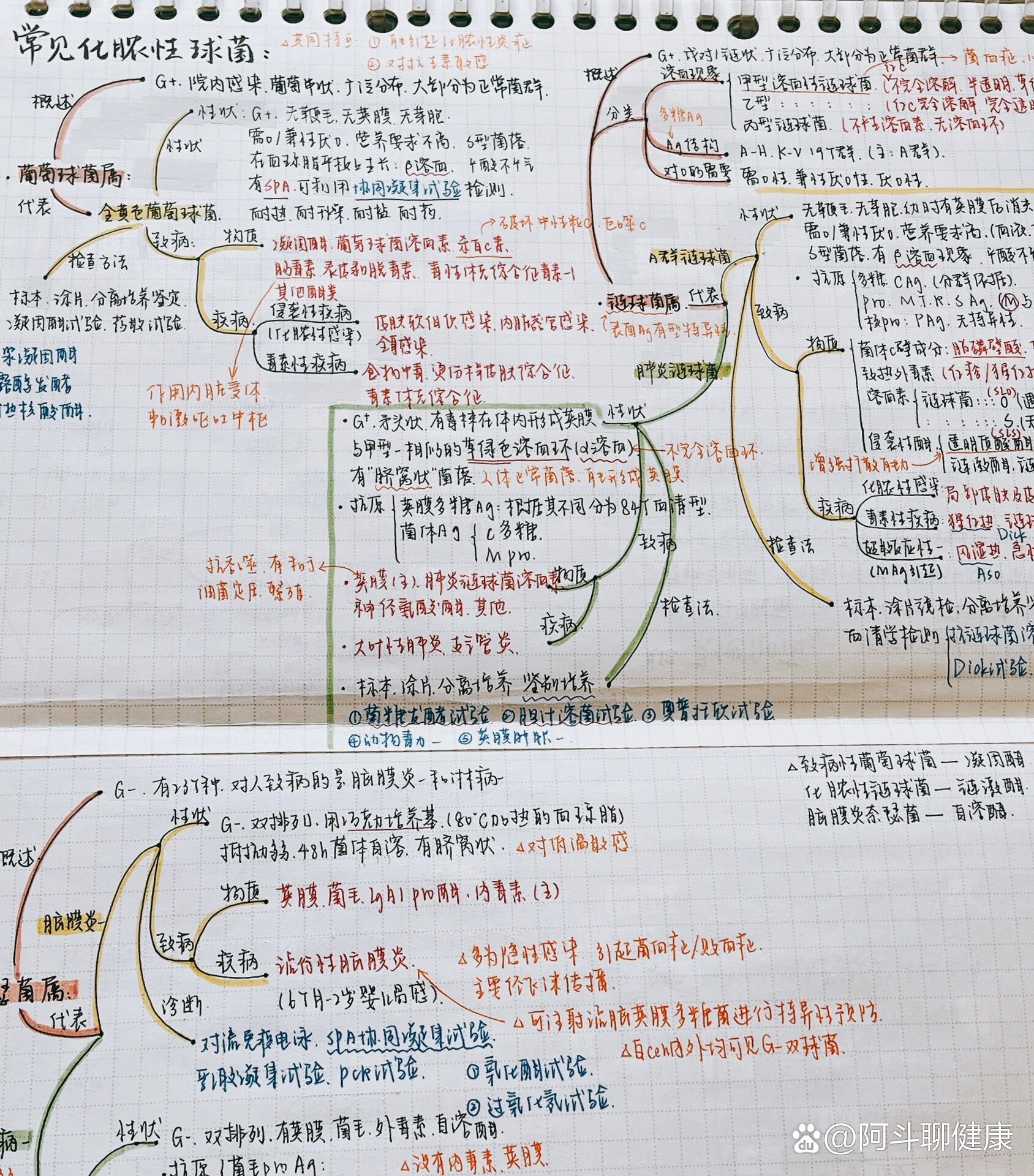 微课思维导图图片