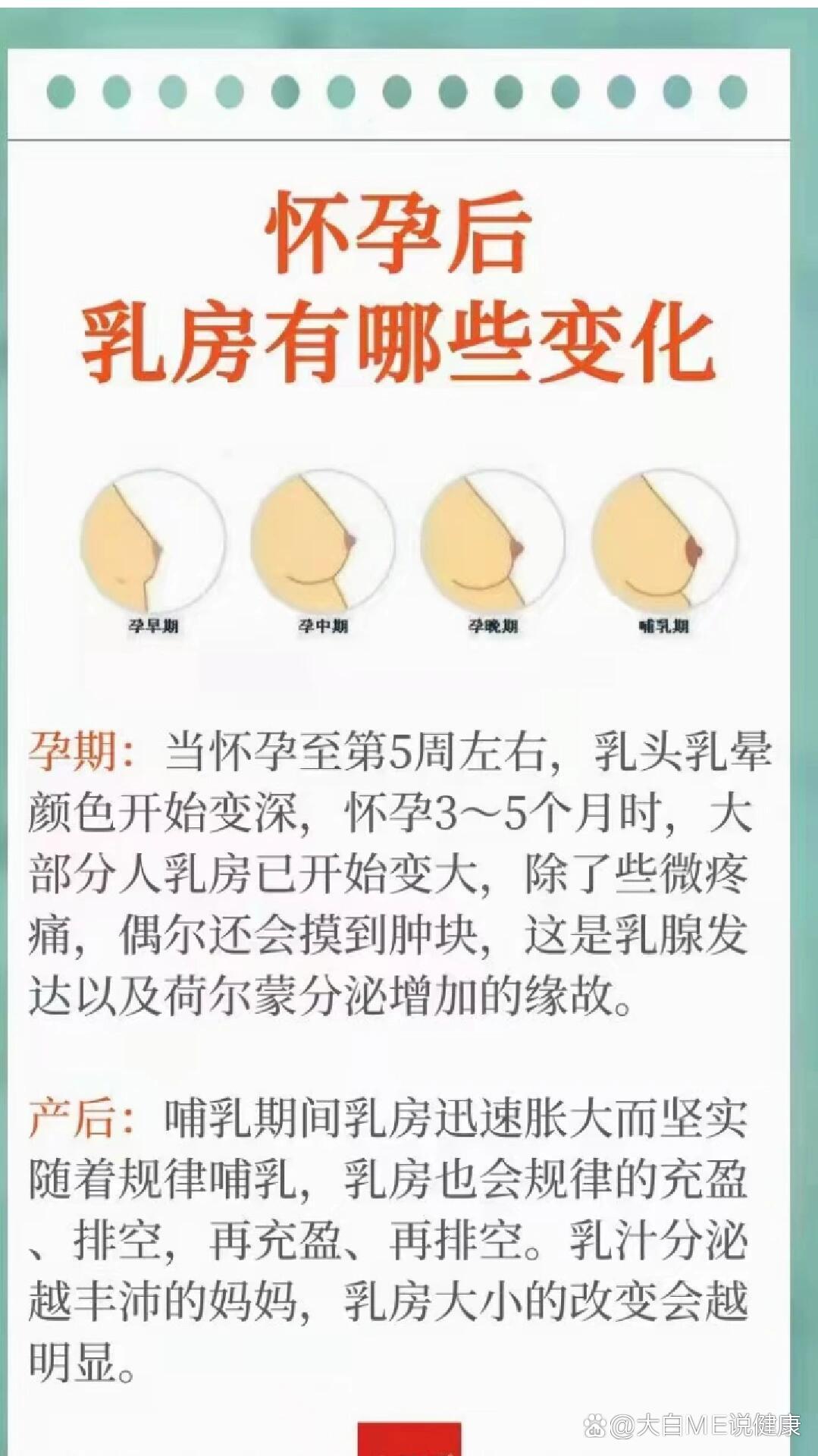 怀孕后乳房的变化