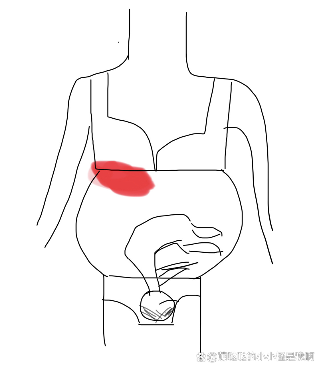 右胸下面疼图片