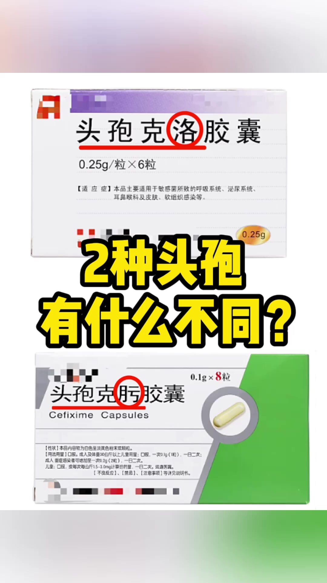 1分钟搞清楚6015头孢克洛和头孢克肟的区别
