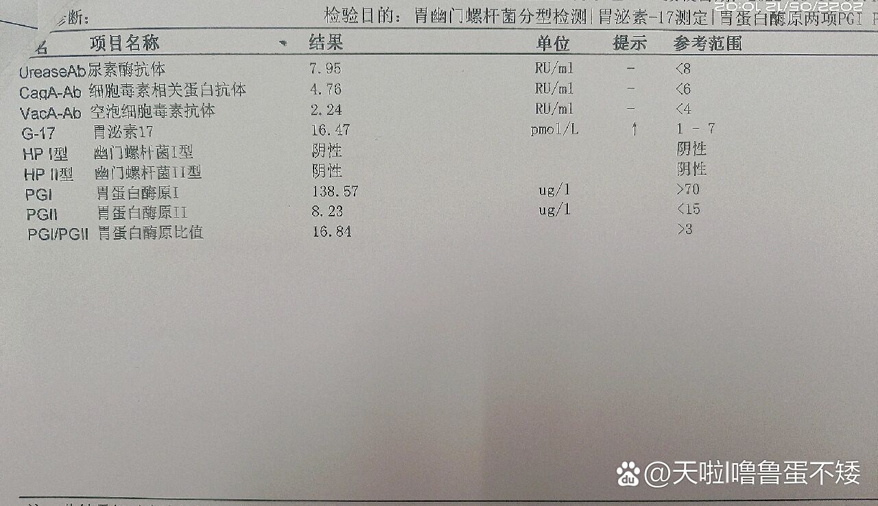 胃泌素三角图片