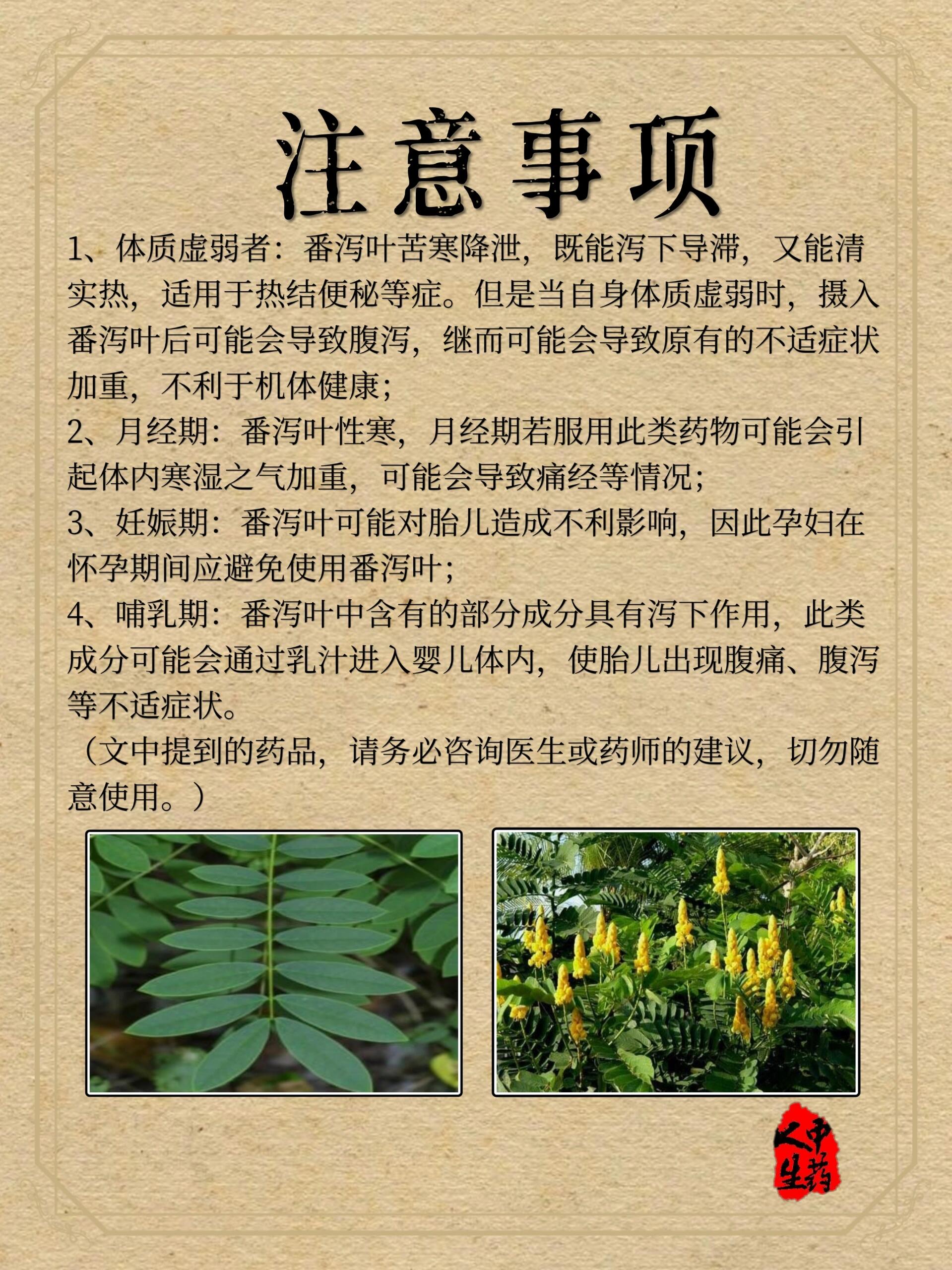 泻药中草药图片