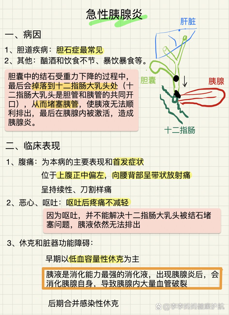 腿部胰腺点位置图片图片